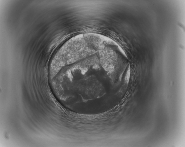 X0000096420002200802141645