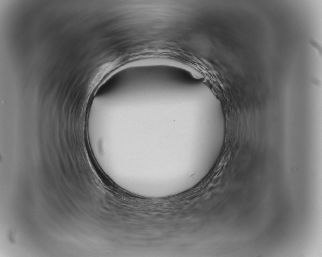 X0000096420003200802141645