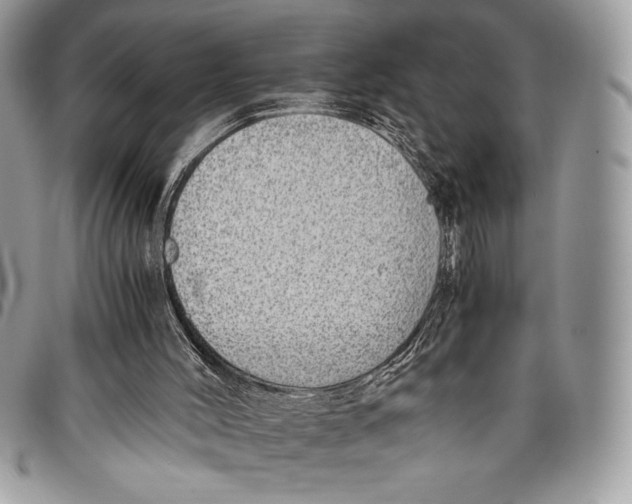 X0000096420004200802141645