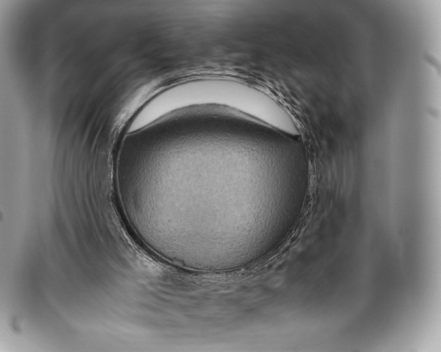 X0000096420005200802141645