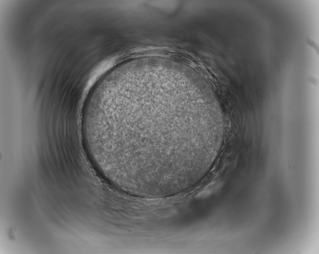 X0000096420006200802141645