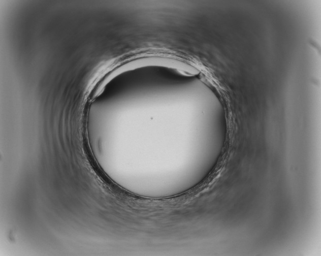 X0000096420007200802141645