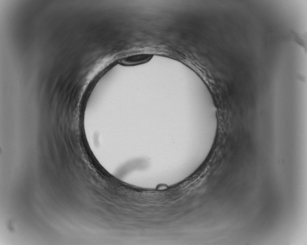 X0000096420008200802141645