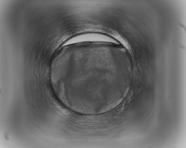 X0000096420009200802141645