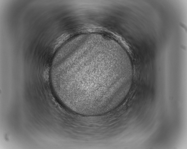 X0000096420010200802141645