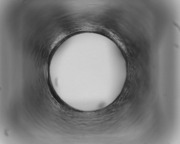 X0000096420011200802141645