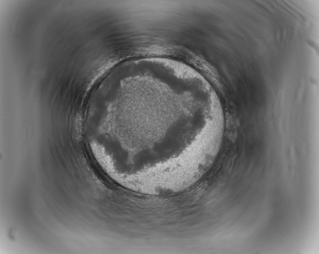 X0000096420012200802141645