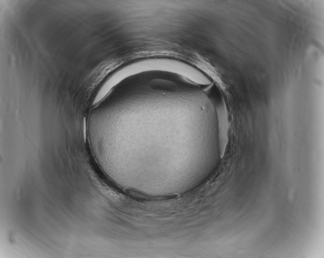 X0000096420013200802141645