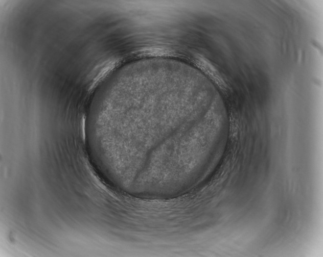 X0000096420014200802141645