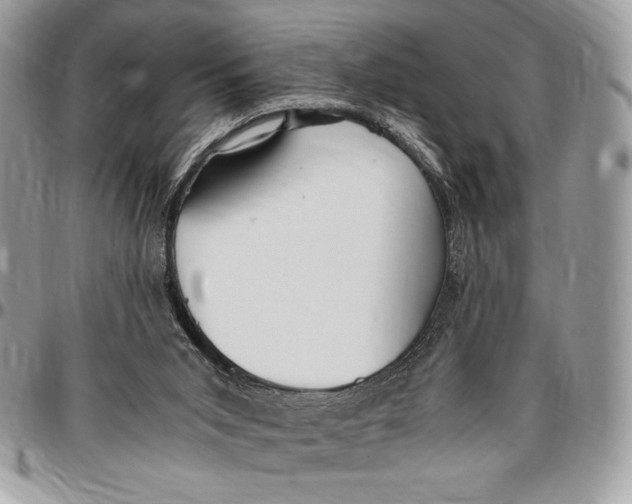 X0000096420015200802141645