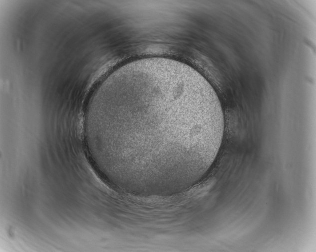 X0000096420016200802141645