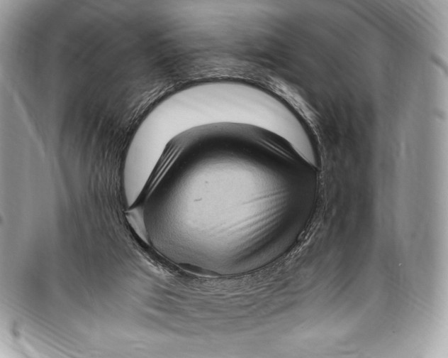 X0000096420017200802141645