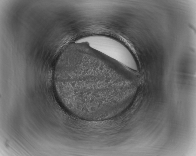 X0000096420018200802141645