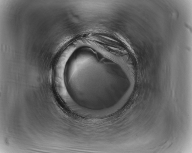 X0000096420019200802141645