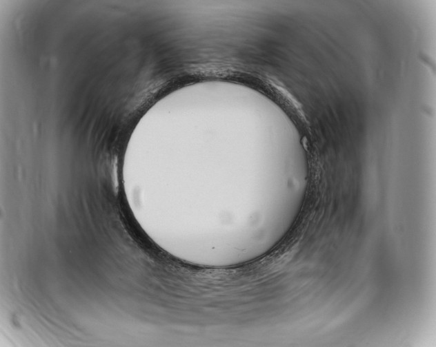 X0000096420020200802141645