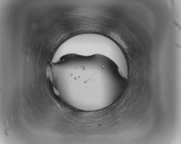 X0000096420021200802141645