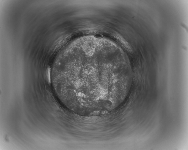 X0000096420022200802141645