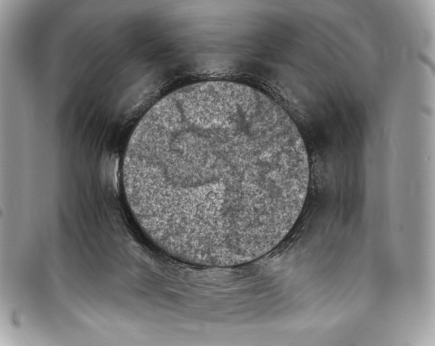 X0000096420024200802141645