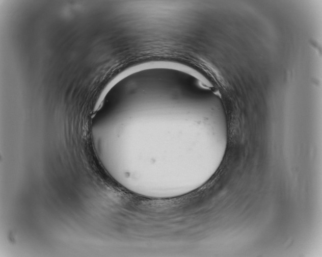 X0000096420025200802141645