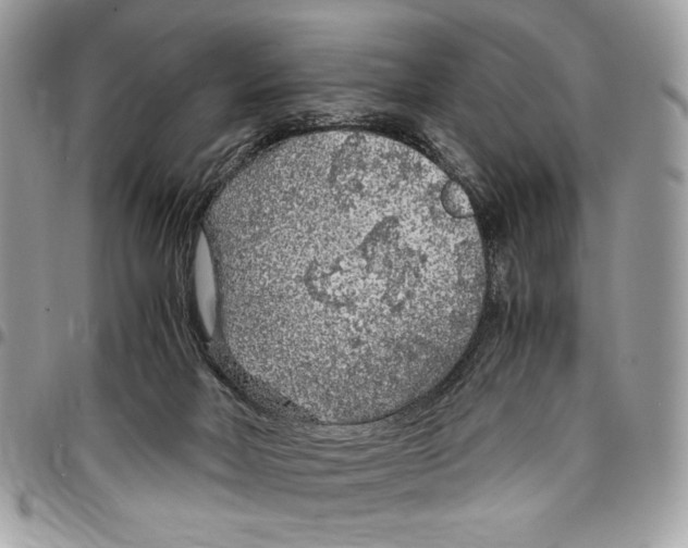 X0000096420026200802141645