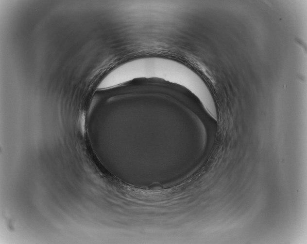 X0000096420027200802141645