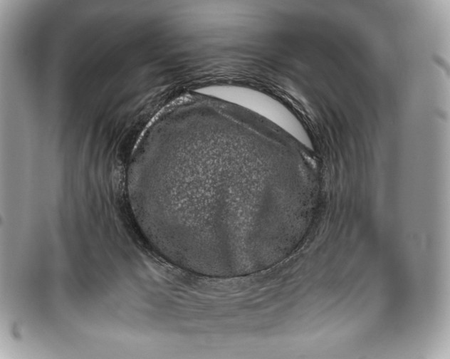 X0000096420029200802141645