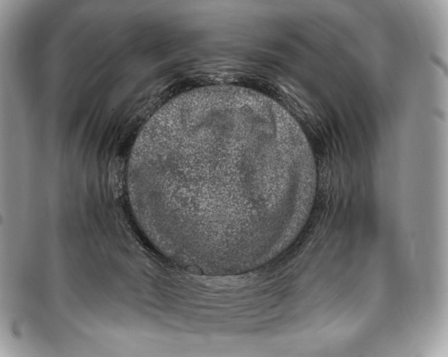 X0000096420030200802141645