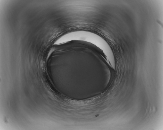 X0000096420031200802141645