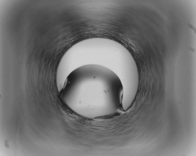 X0000096420033200802141645