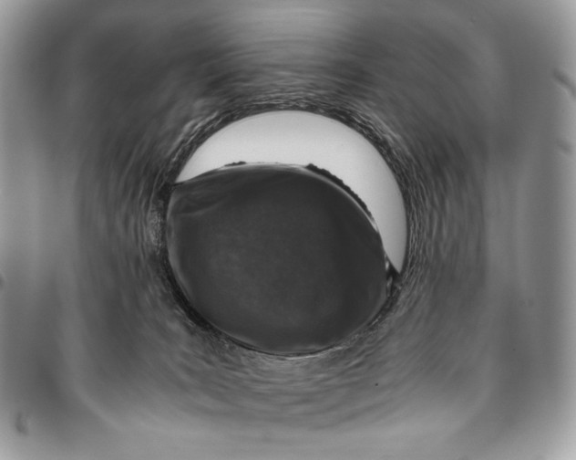 X0000096420035200802141645