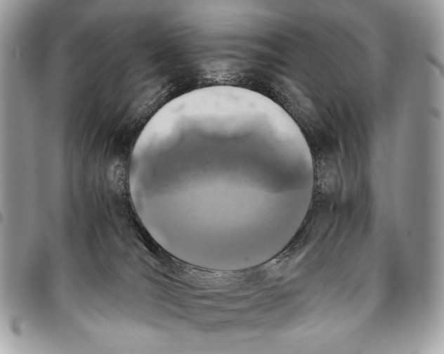 X0000096420036200802141645