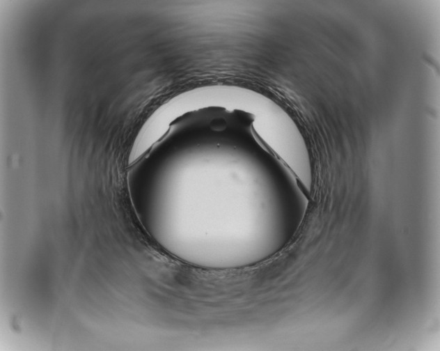 X0000096420037200802141645