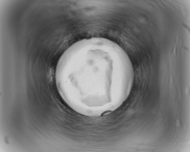 X0000096420038200802141645