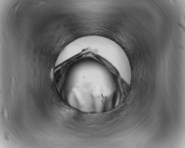 X0000096420041200802141644