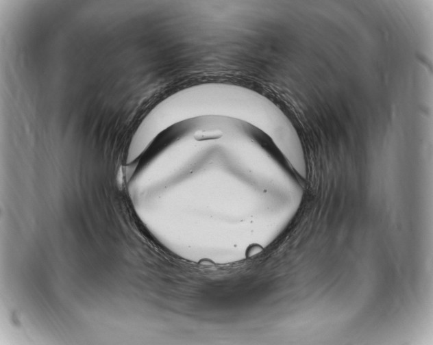 X0000096420042200802141644