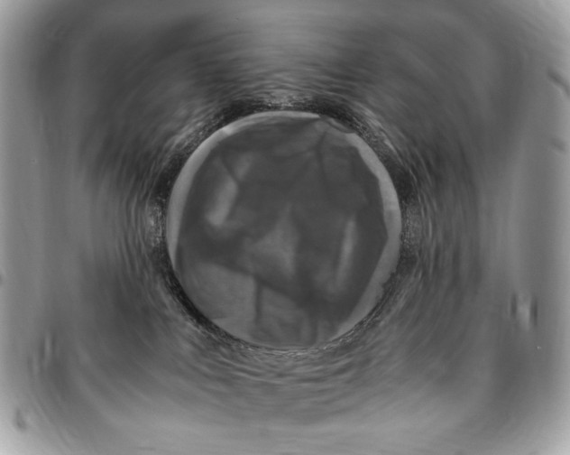 X0000096420043200802141644