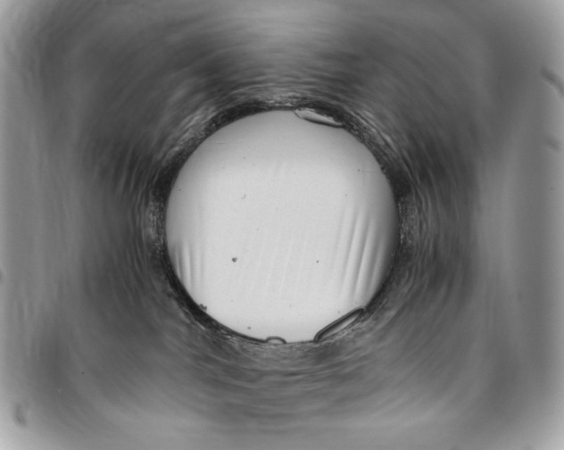 X0000096420044200802141644