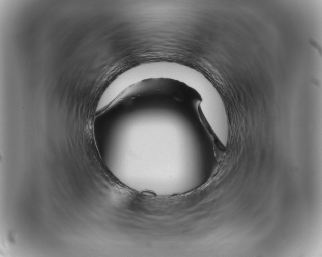 X0000096420045200802141644