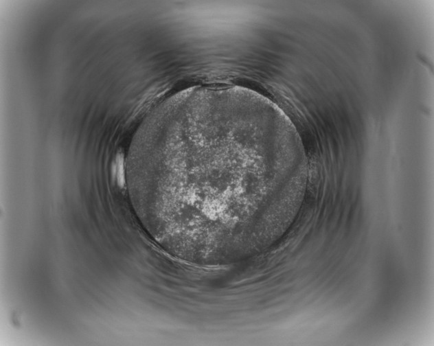 X0000096420046200802141644