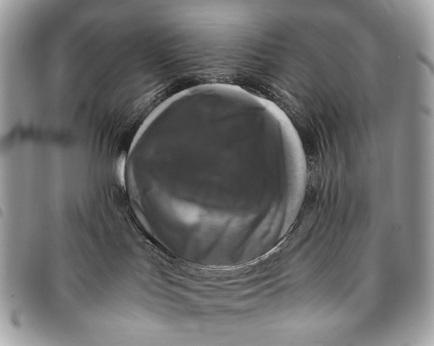 X0000096420047200802141644