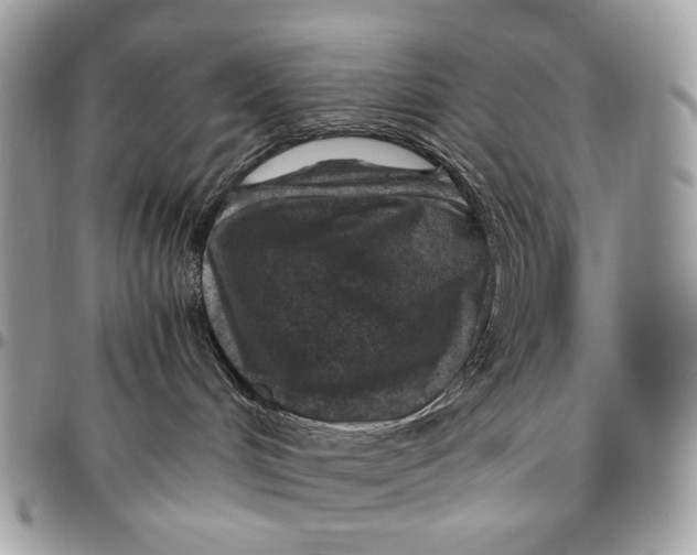 X0000096420048200802141644