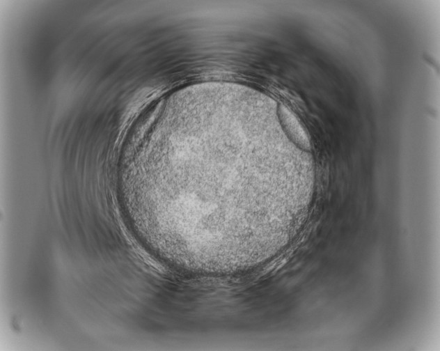 X0000096420049200802141644