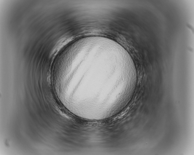 X0000096420050200802141644