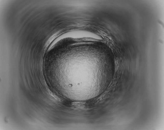 X0000096420051200802141644