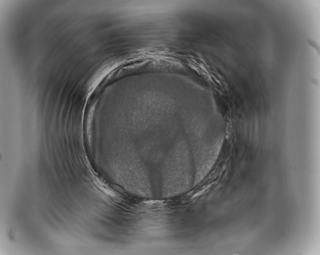 X0000096420052200802141644