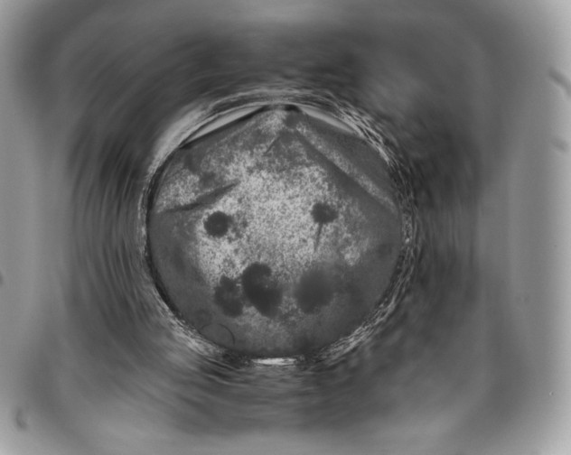 X0000096420053200802141644