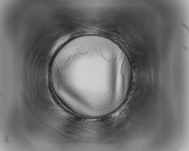 X0000096420054200802141644