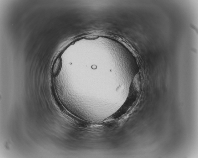 X0000096420055200802141644