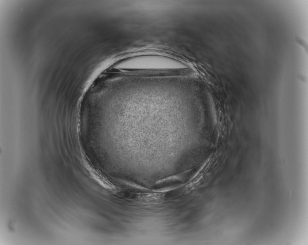 X0000096420056200802141644