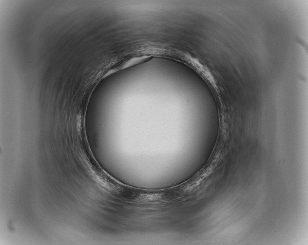 X0000096420057200802141644